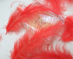 Перья, Красный, 12-15 см, 50 шт.